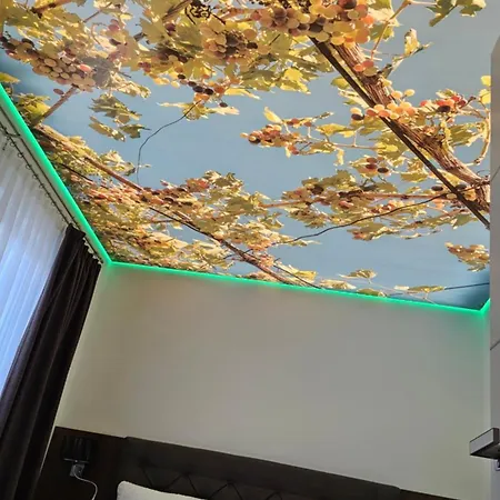 Luxus Klimatisiert Dachterrasse Mit Atemberaubender Aussicht Ooooo Villa Ellenz-Poltersdorf